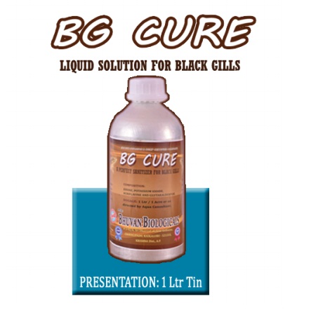 B.G CURE - SOLUTION FOR BLACK GILLS & TAIL ROTS